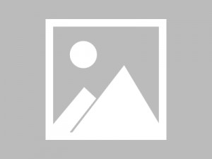 杭州当下求职形势与热门行业分析